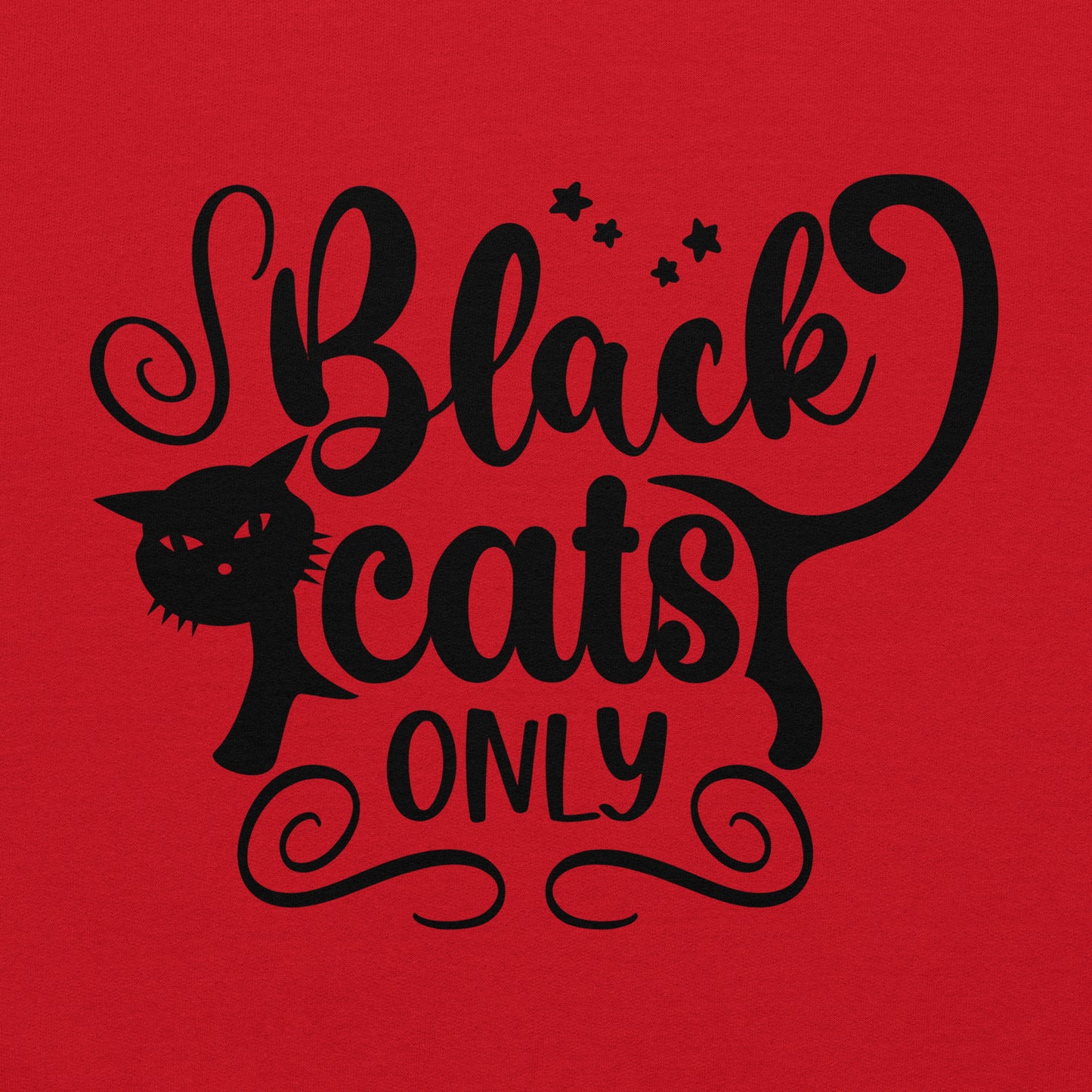 Black Cats Only Hoodie | Black Cat Halloween Top